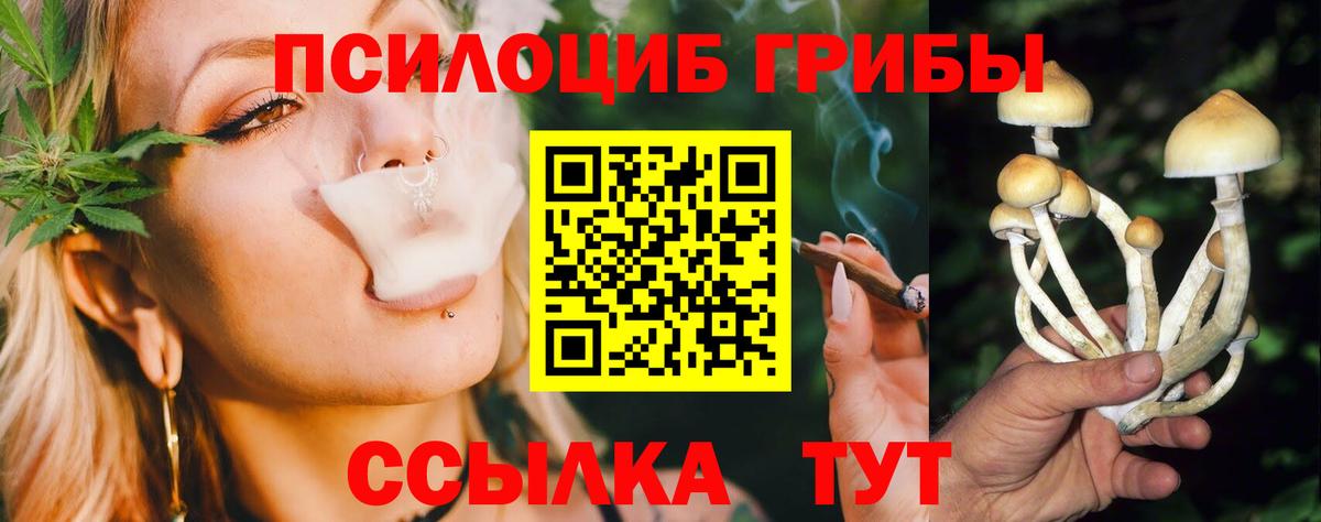 Псилоцибиновые грибы мицелий  Вход с VPN  Новосибирск 